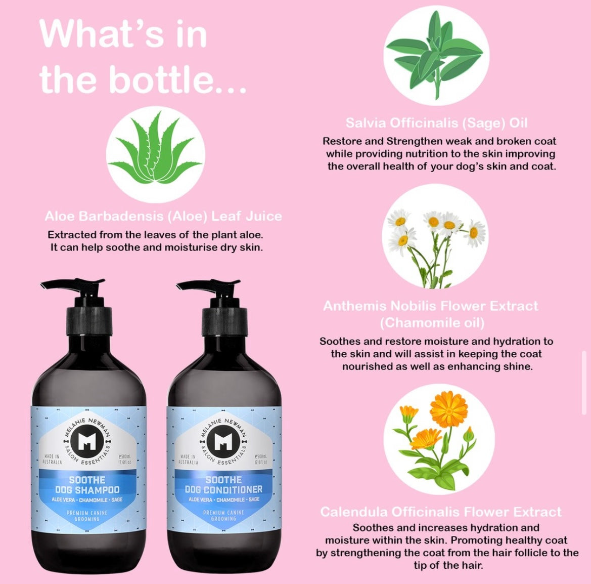 Soothe Collection (Sensitive)